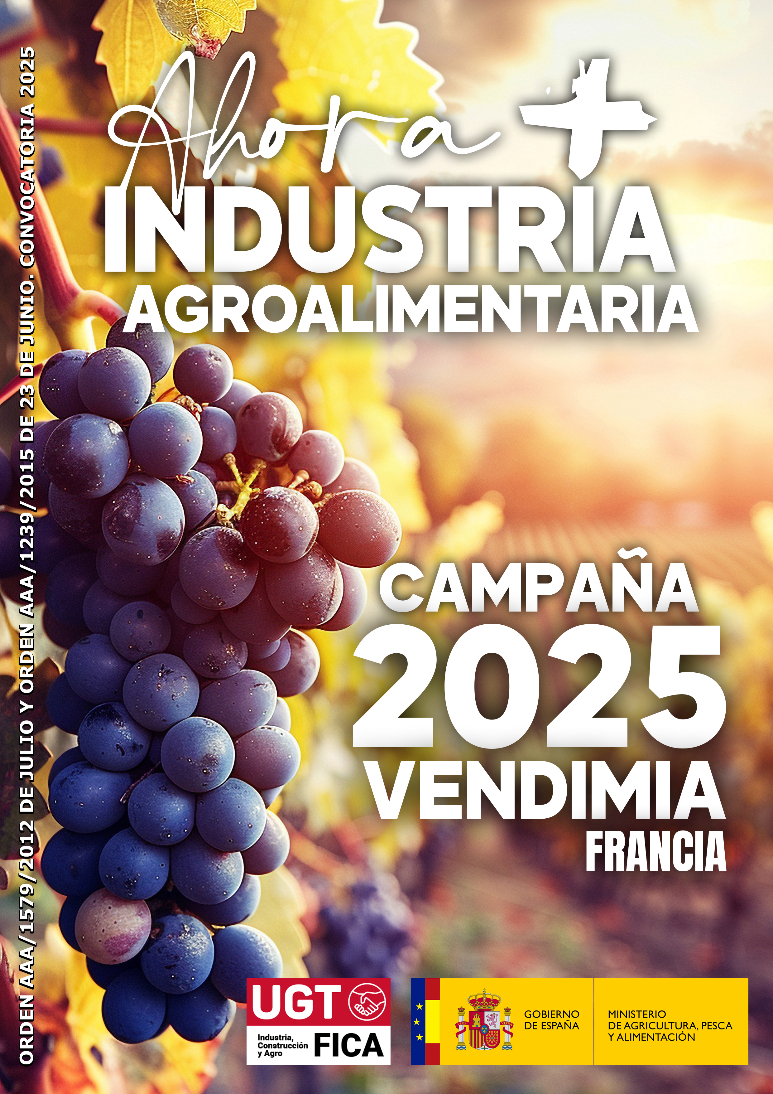 Vendimia Francesa 2025